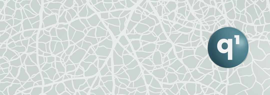 q1 Network